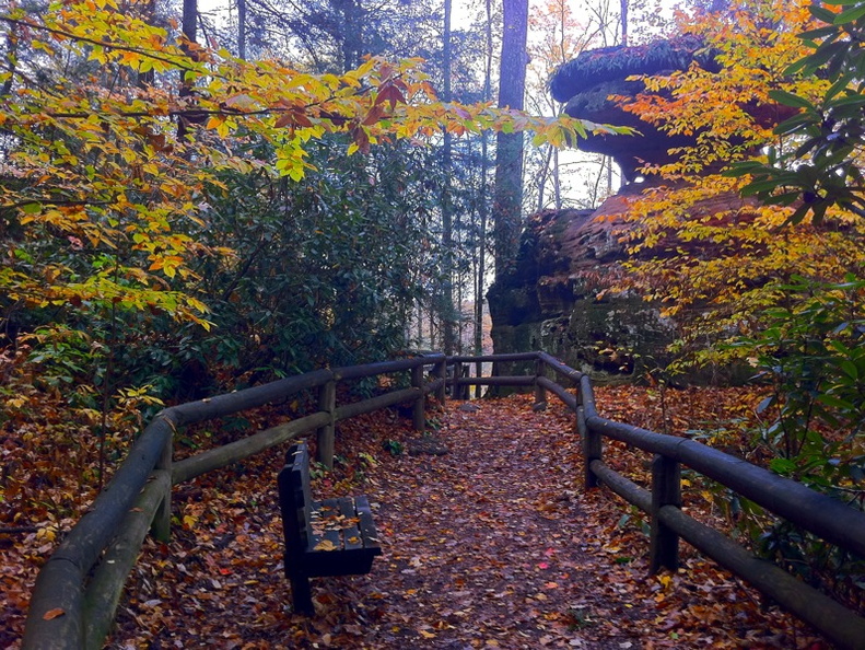 Natural Bridge State Park